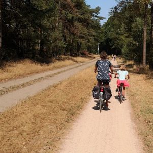 Fietsen over de Sallandse Heuvelrug