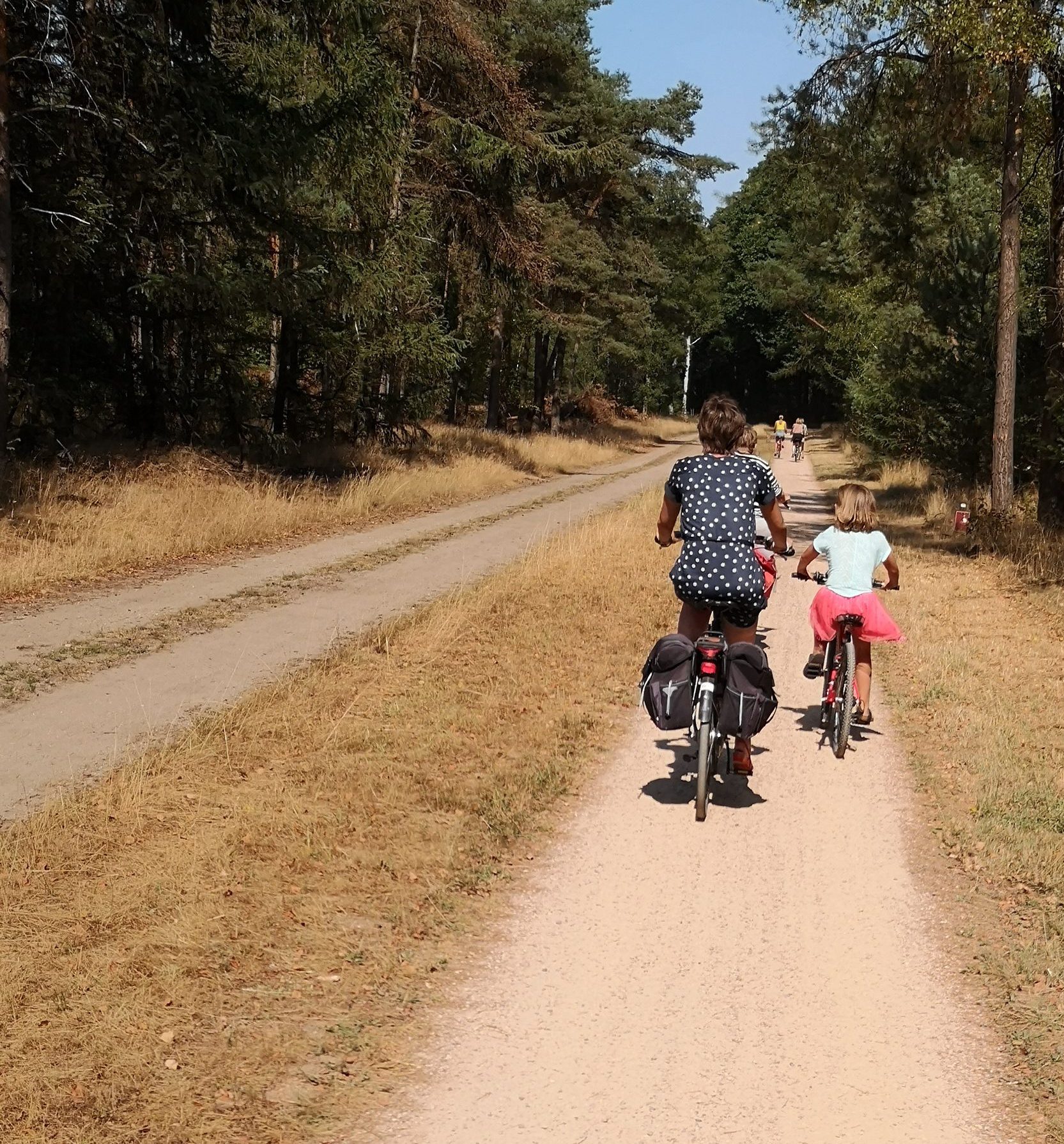 Fietsen over de Sallandse Heuvelrug