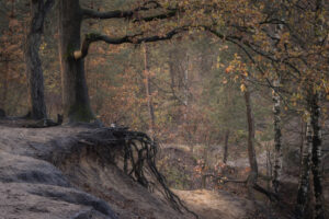 Wandelen bj het Stut in Nijverdal